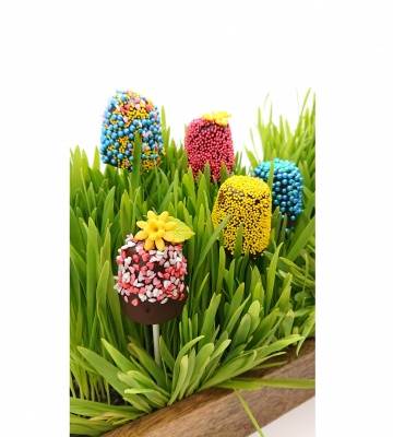 Lolly Blumen