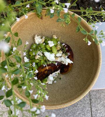 I weis immer no nid was hie inechunnt, Sara 😅