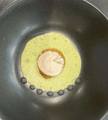 Lachs Mousse mit Zitronen Gel und Dill Schaum